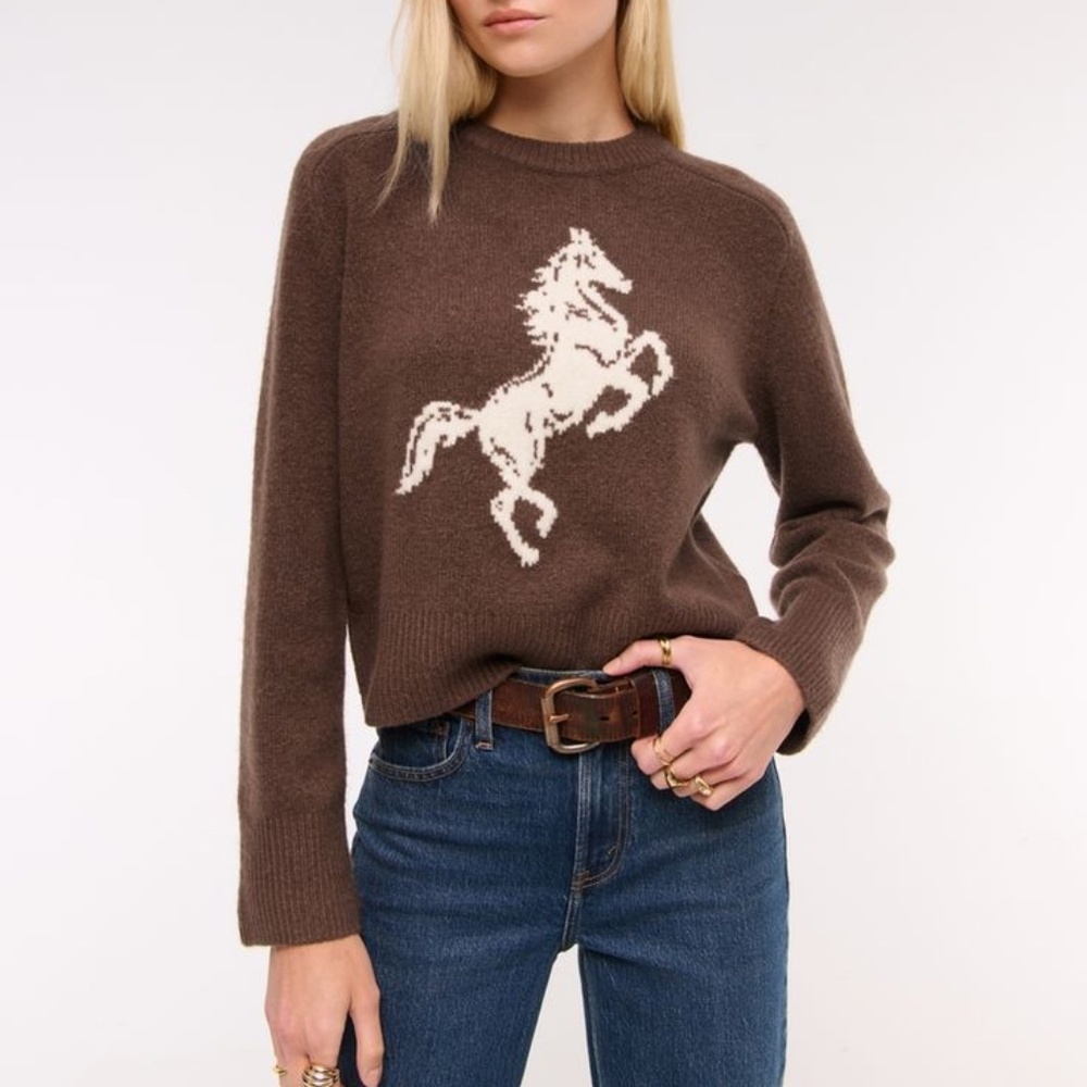 A&F Madeline Western Crew Sweater
